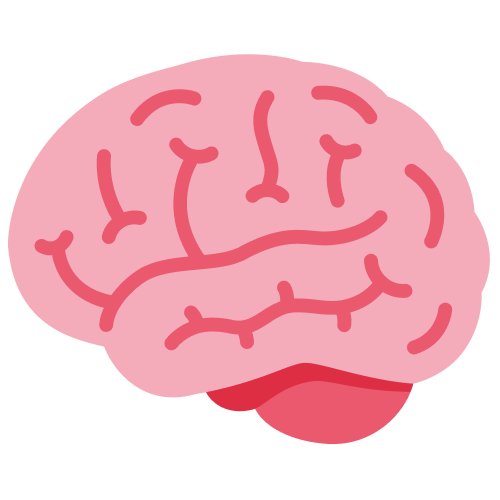 Midbrain WIKI